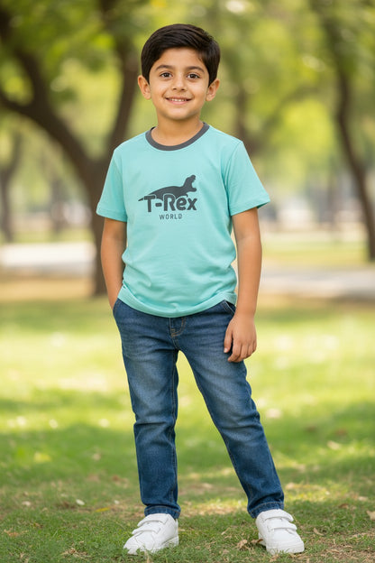 Doreme boys dinosaur print T-shirt in blue with T-Rex World graphic