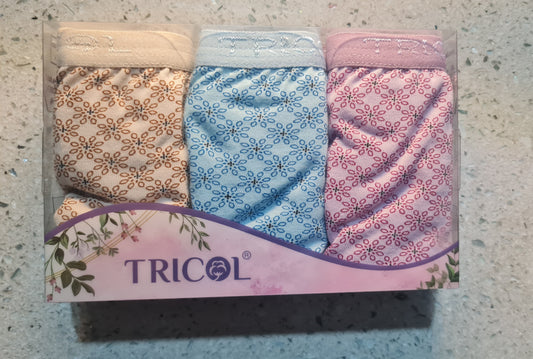 Ladycare SCAN-37 Women’s penty (Pack of 3)